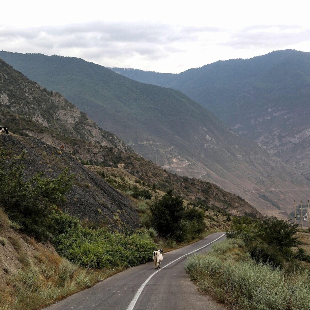Fire Threatens Iran’s Ancient Forest, a World Heritage Site