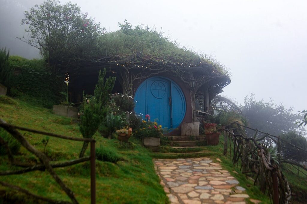 Guatemalan Black Howler Monkey