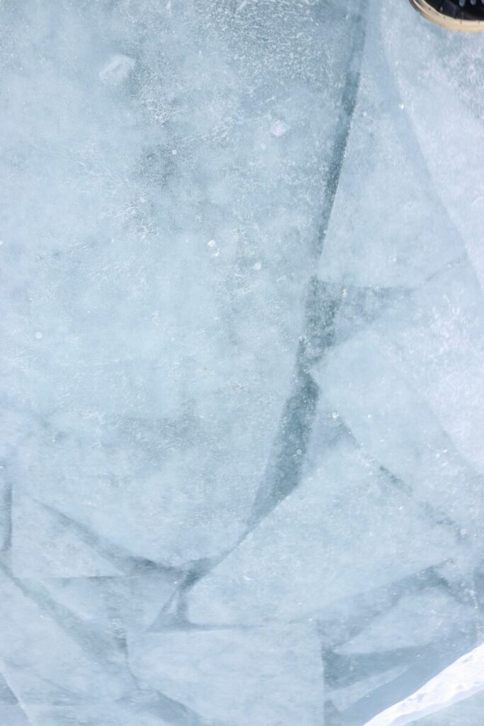 ICE show: how Donald Trump is creating his own police force