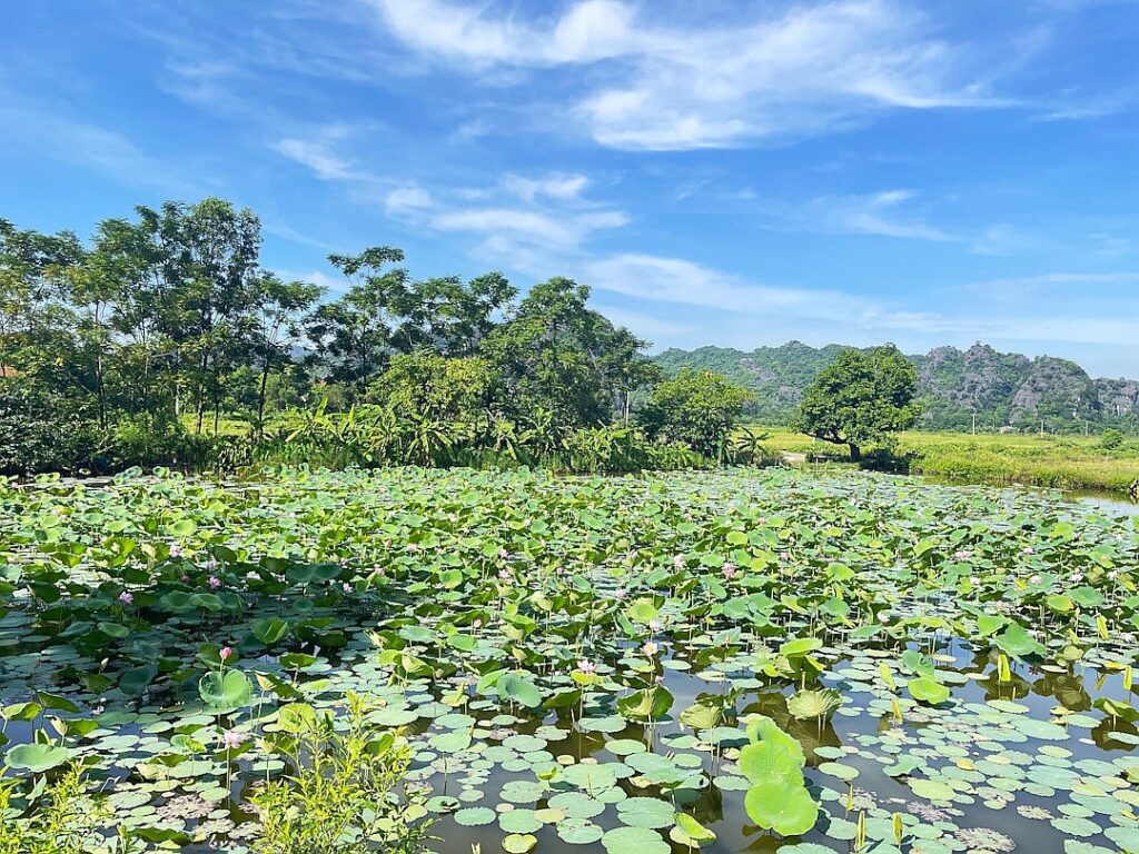 Vietnam is rushing ahead with ambitious domestic reforms