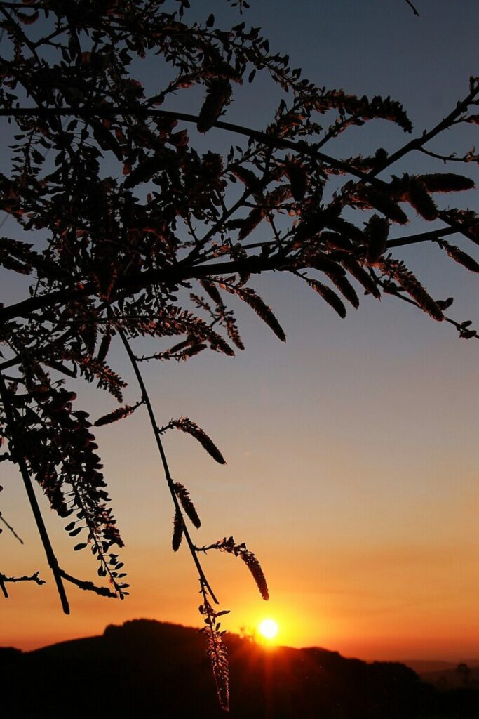 Do women need testosterone supplements?