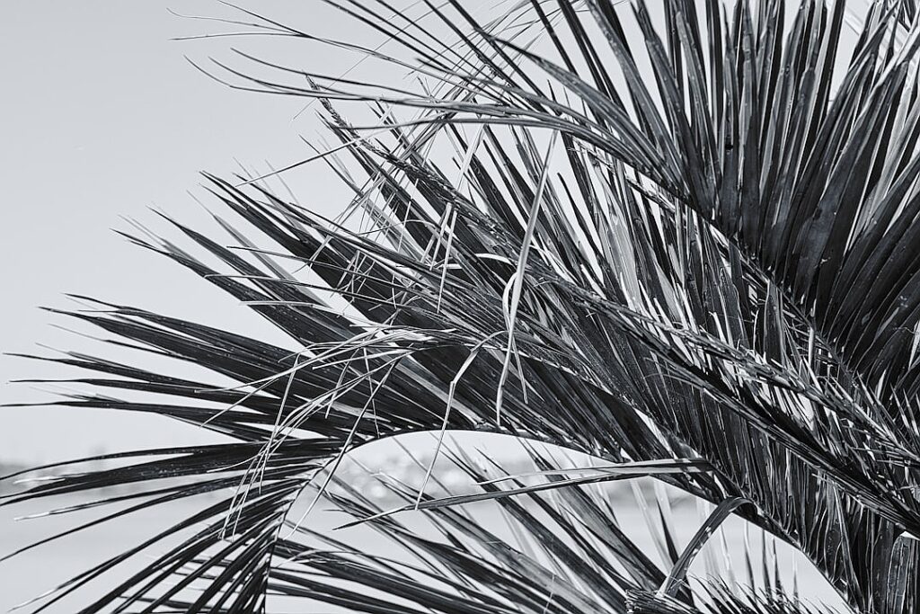 A bloody police raid in Rio was the deadliest in Brazil’s history