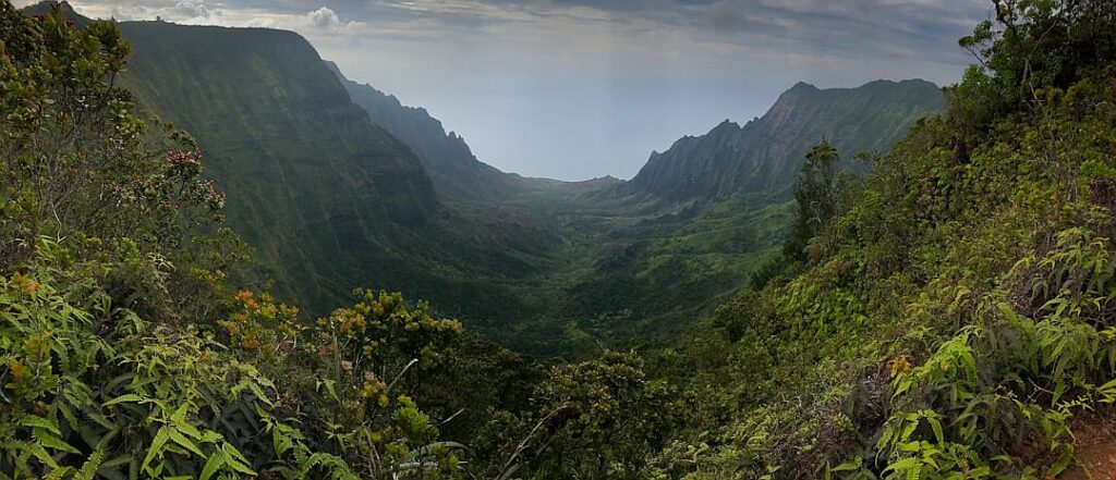 A political drama for the ages, opening soon in New York City