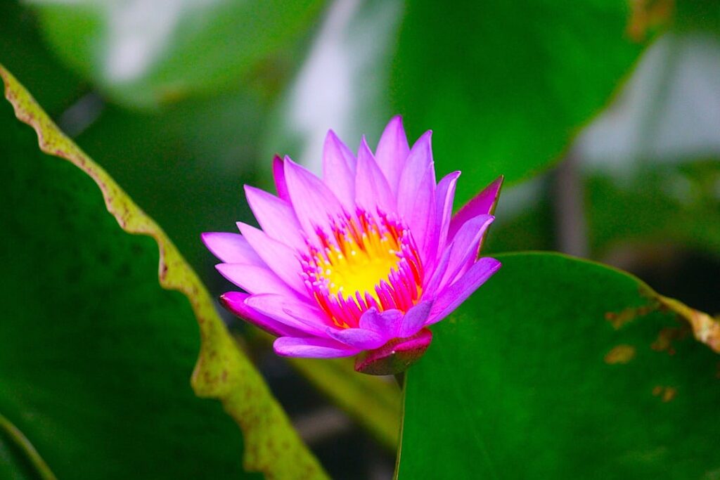 How dangerous is life in Syria?