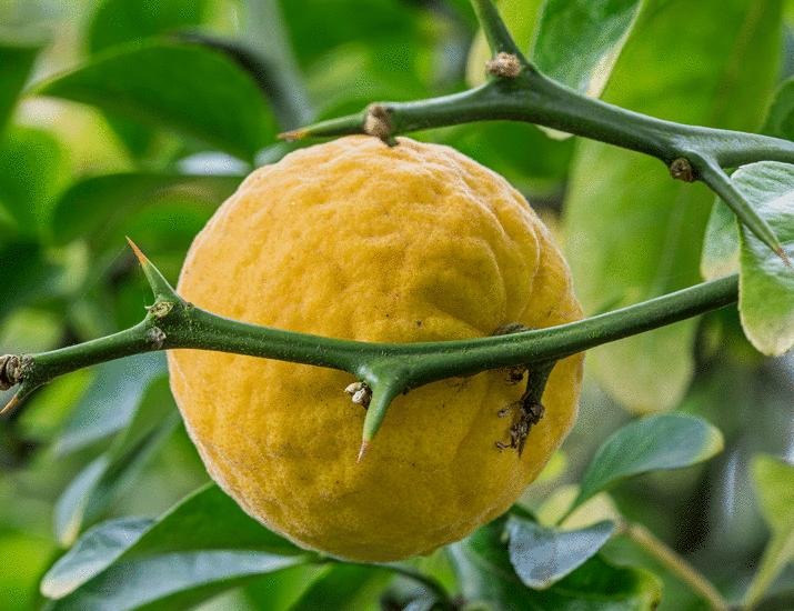 In Other Journals | Science