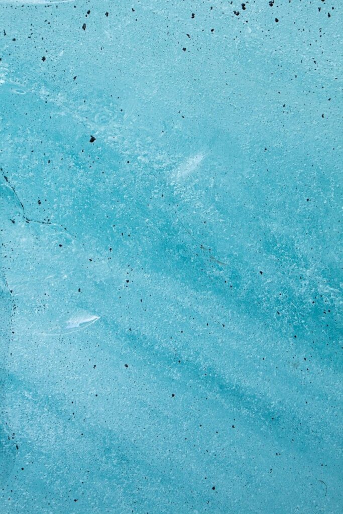 ICE show: how Donald Trump is creating his own police force