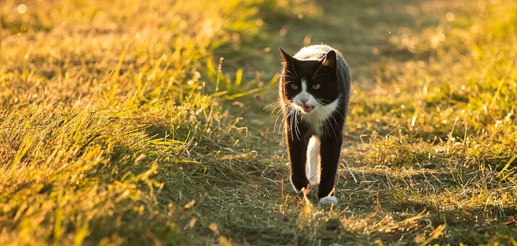 One of the poorest states in America introduces free child care