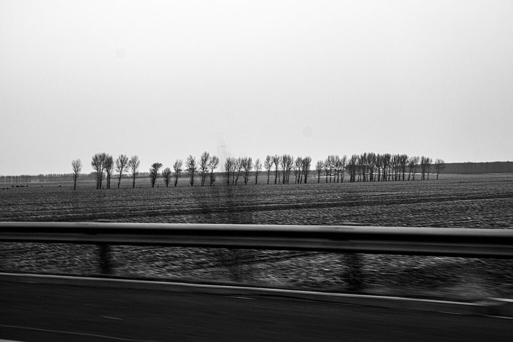 To save the world’s tropical forests, learn from Brazil