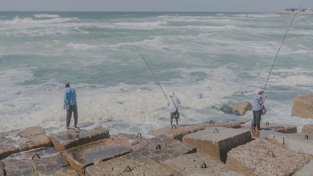 Release the Epstein files!