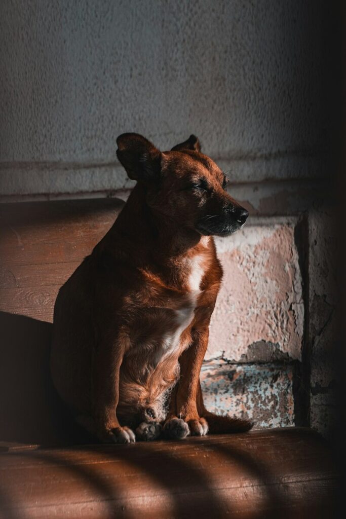 Is “All’s Fair” really the worst television drama ever made?