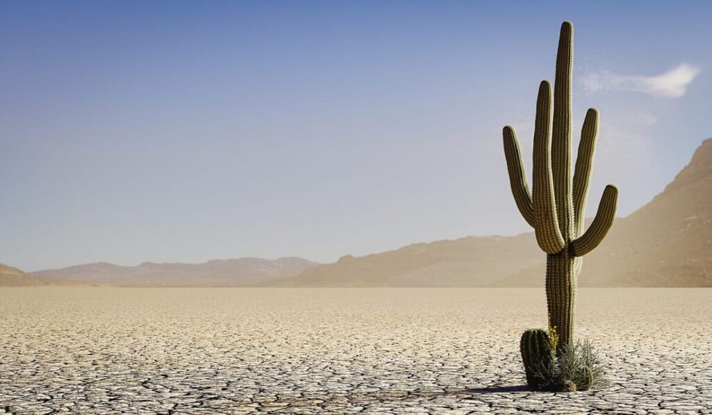 America is aging into a caregiving desert. Nobody is ready.