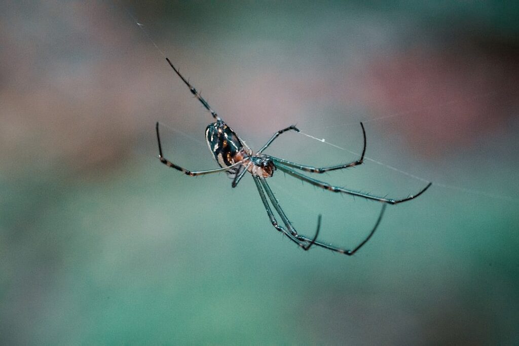 Why investors still don’t believe in Argentina