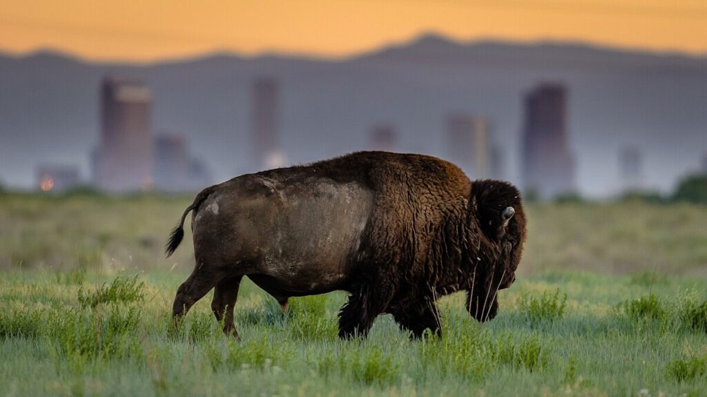 A Photo Appreciation of America’s National Wildlife Refuges