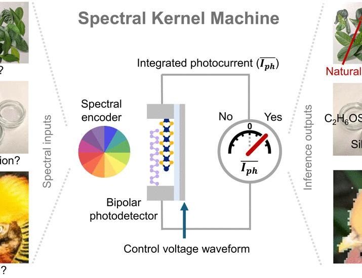 Spectral kernel machines with electrically tunable photodetectors | Science