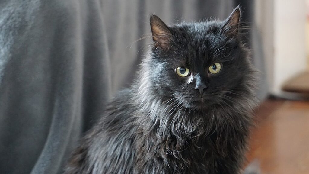 Looking for a chic wedding venue? Try a town hall