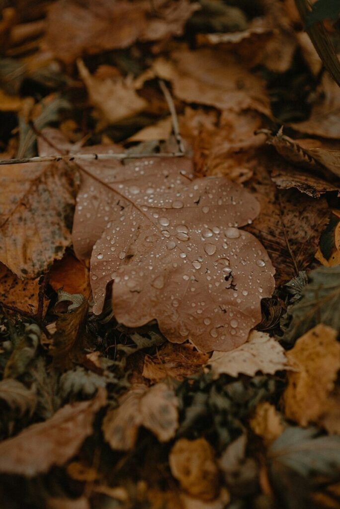 Goodbye, Price Tags. Hello Dynamic Pricing.