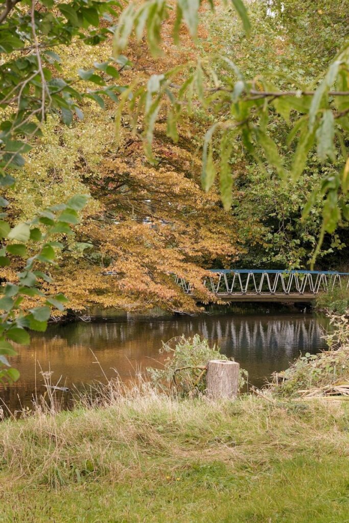 The US in brief: Epstein’s shadow