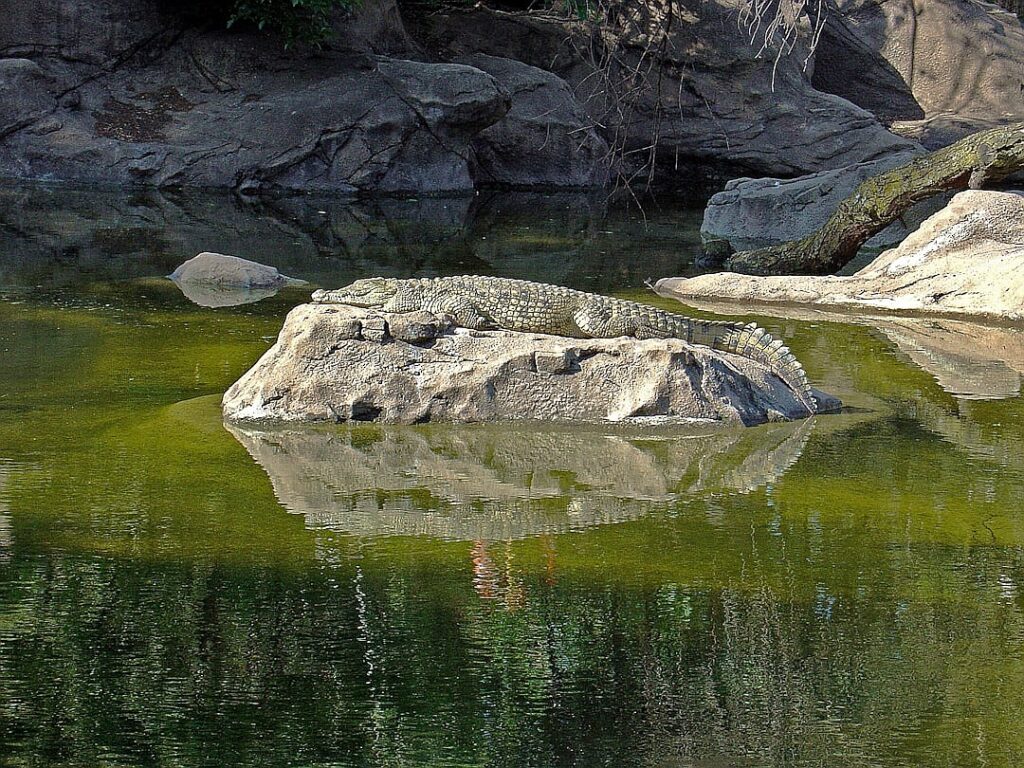 Dangerous addiction: America is fighting fentanyl with diplomacy