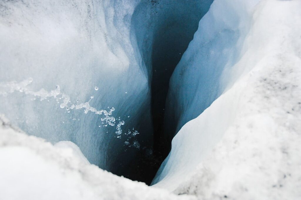 ICE show: how Donald Trump is creating his own police force