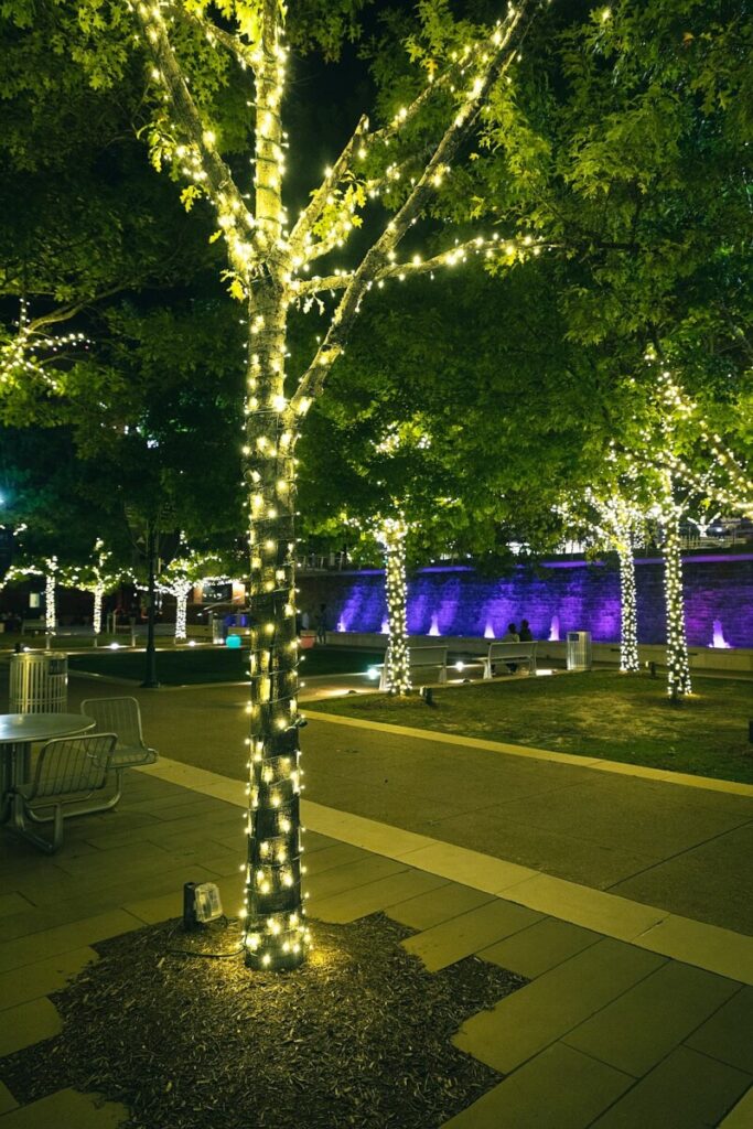 The Social-Media Platform That Makes You Tell the Truth