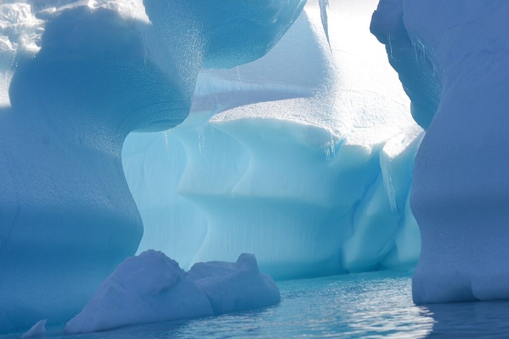 ICE show: how Donald Trump is creating his own police force