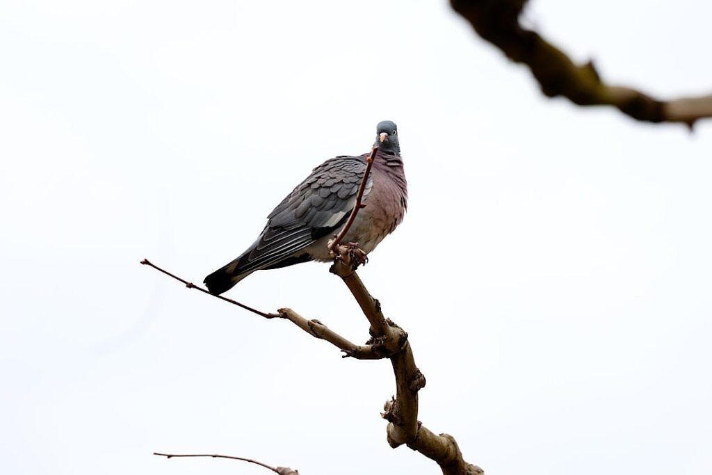 Tracking the world’s most popular music genres