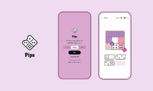 Today’s NYT ‘Pips’ Hints, Solution And Walkthrough For Sunday, November 9