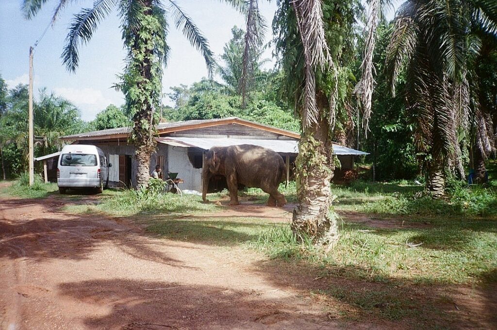 Is “All’s Fair” really the worst television drama ever made?