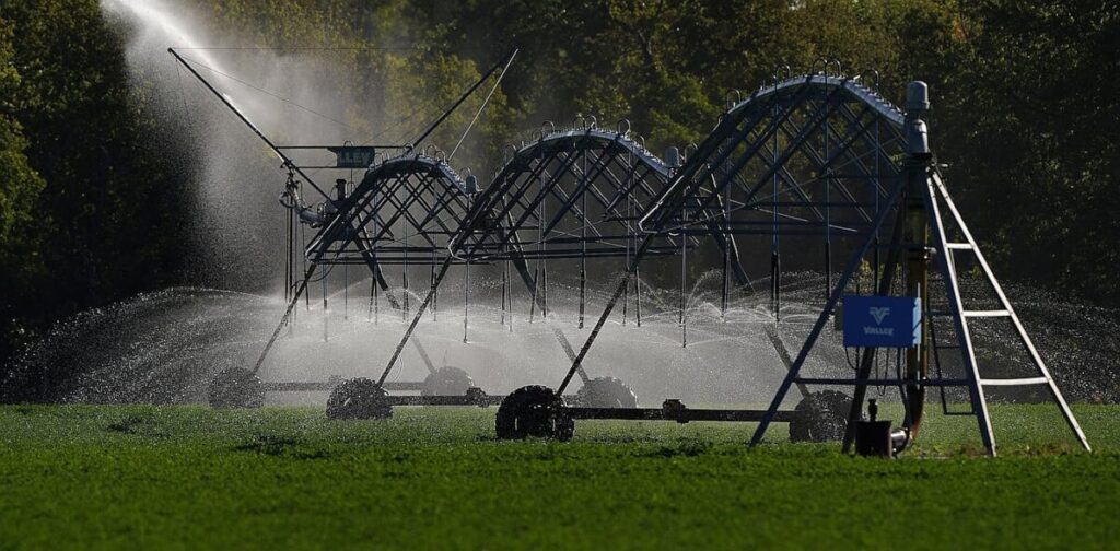 2 ways you can conserve the water used to make your food