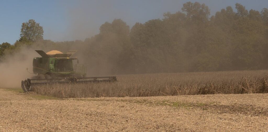 Farmers – long Trump backers – bear the costs of new tariffs, restricted immigration and slashed renewable energy subsidies