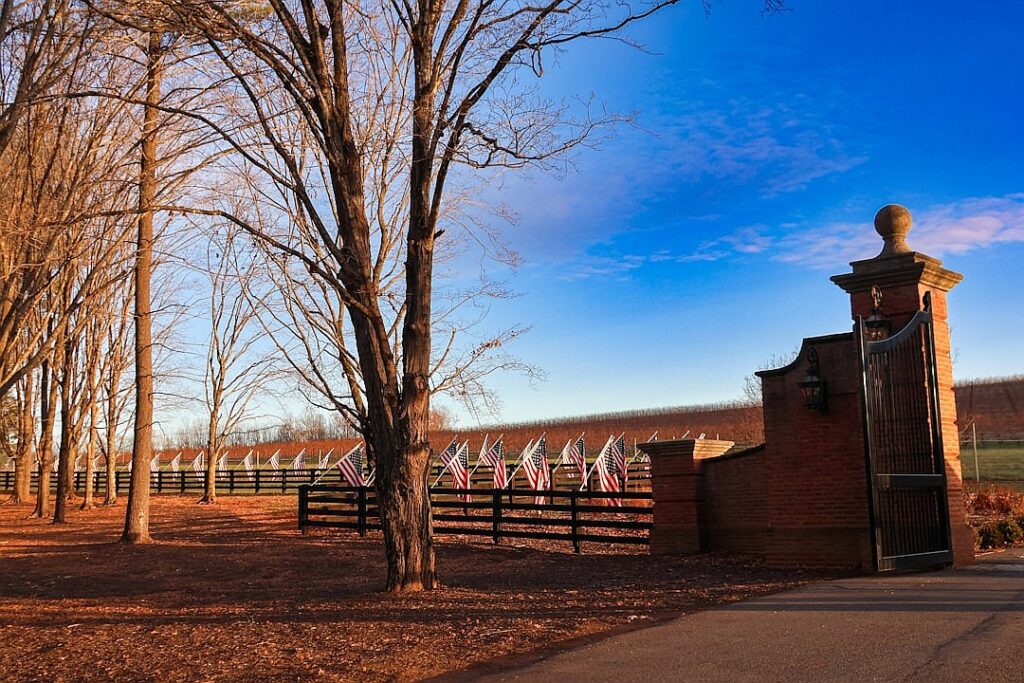 Trump Elevates Once-Fringe Meme Makers to the Mainstream