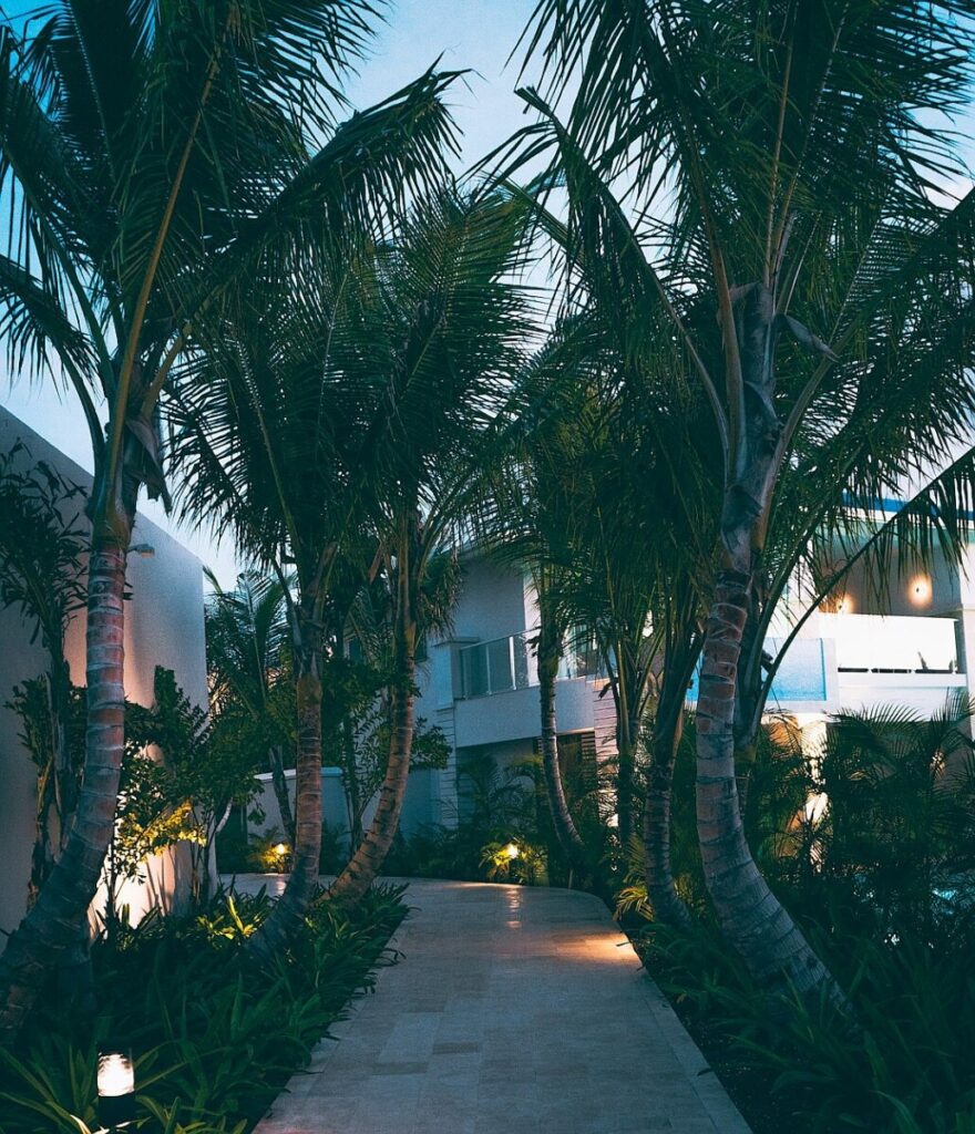 Jimmy Kimmel Is Charmed by the Trump-Mamdani Bromance