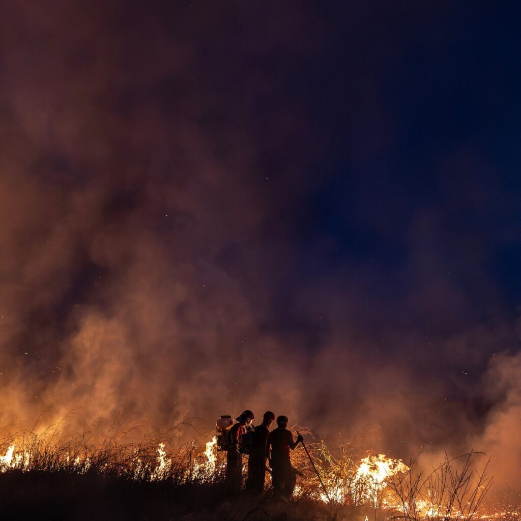 Tentative Signs of Hope as the Amazon Burns