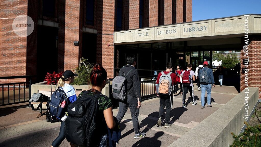 International PhD student numbers in US hold steady — for now