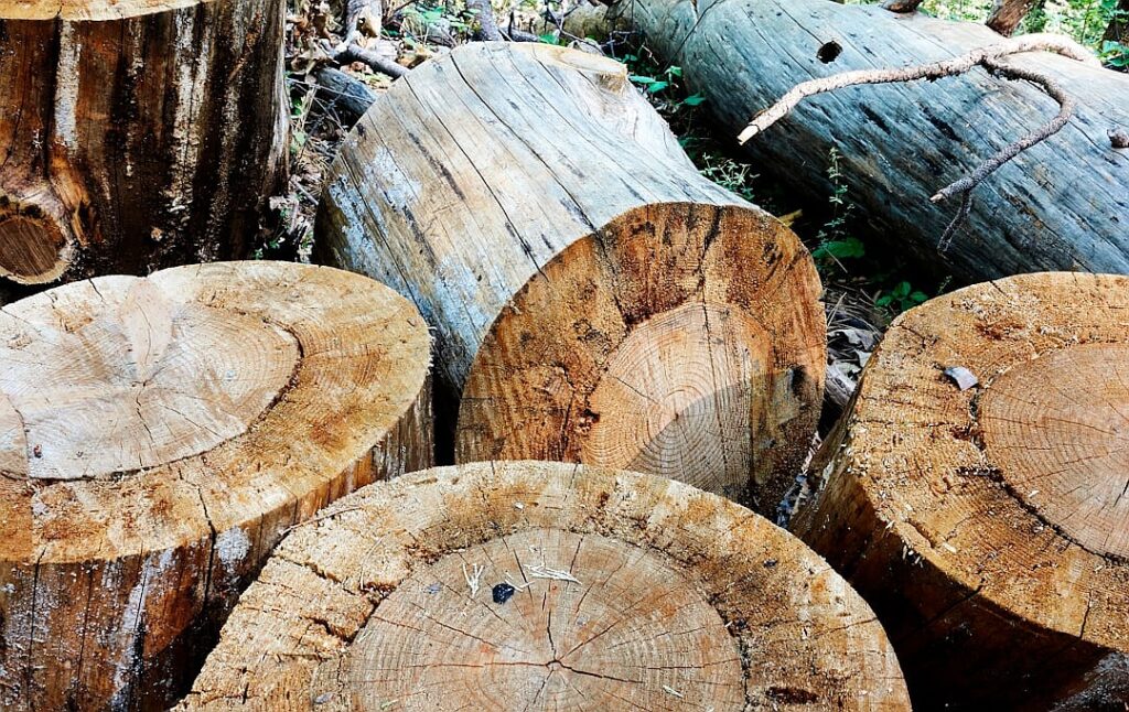 When LLMs learn to take shortcuts, they become evil