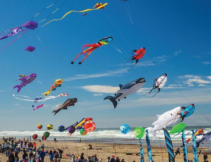 Whither the world’s winds | Science