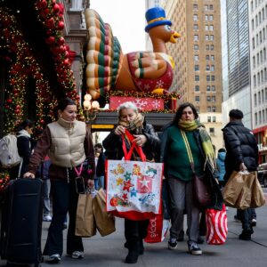 U.S. Black Friday Sales Defy Tariffs and Economic Woes