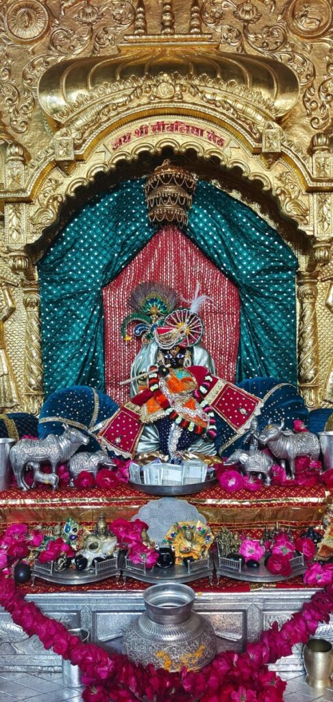 Seth Meyers Bastes Trump for His Rambling Turkey Pardon