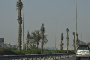 Iraq’s election may ensure stability but leave militias in control