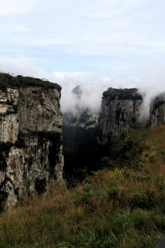 Do women need testosterone supplements?