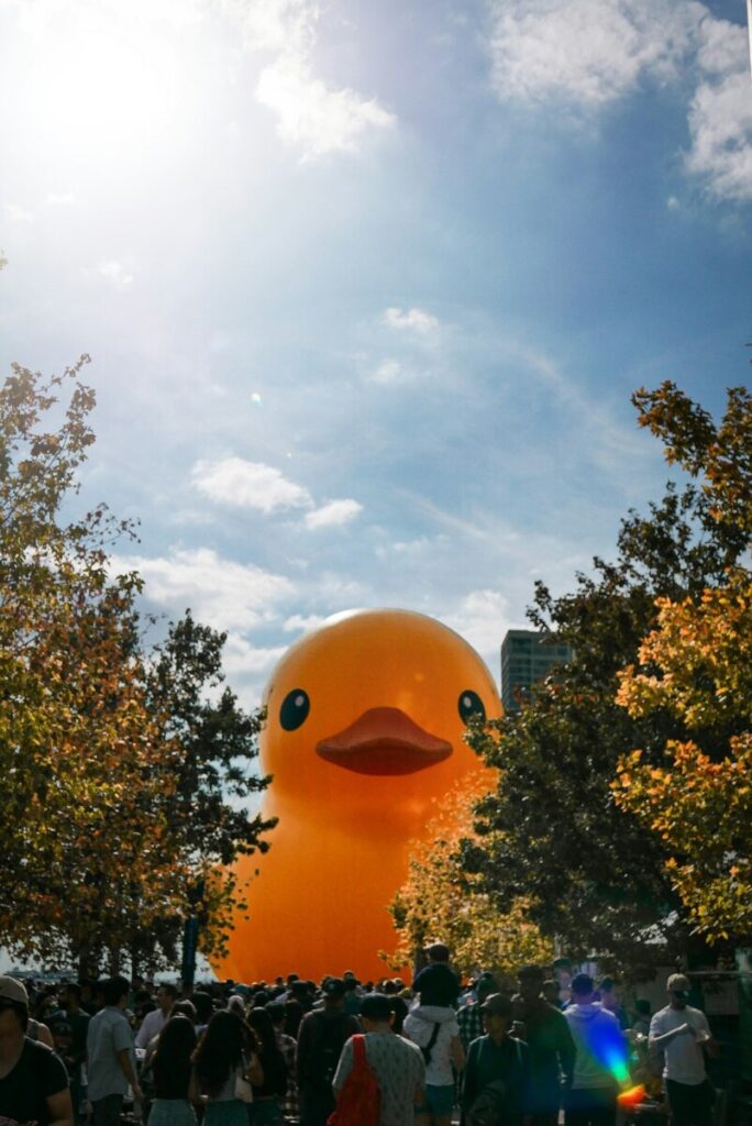 Rubber Duck
