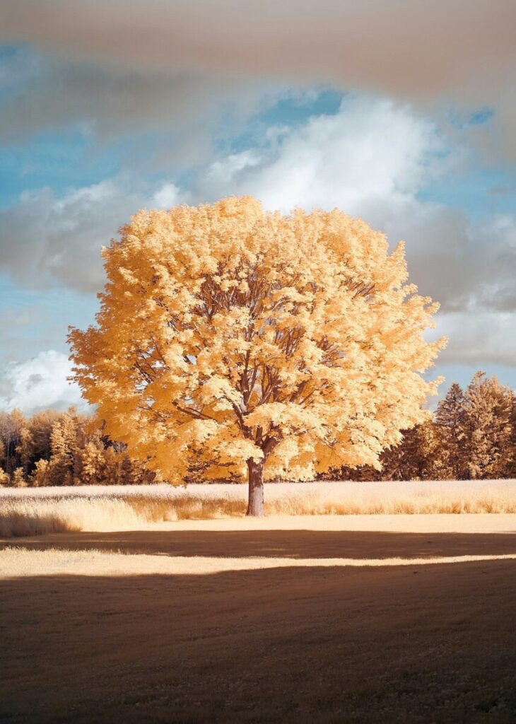 If the fighting ends in Ukraine, the infighting in Europe will begin