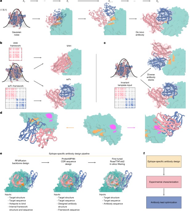 Atomically accurate de novo design of antibodies with RFdiffusion