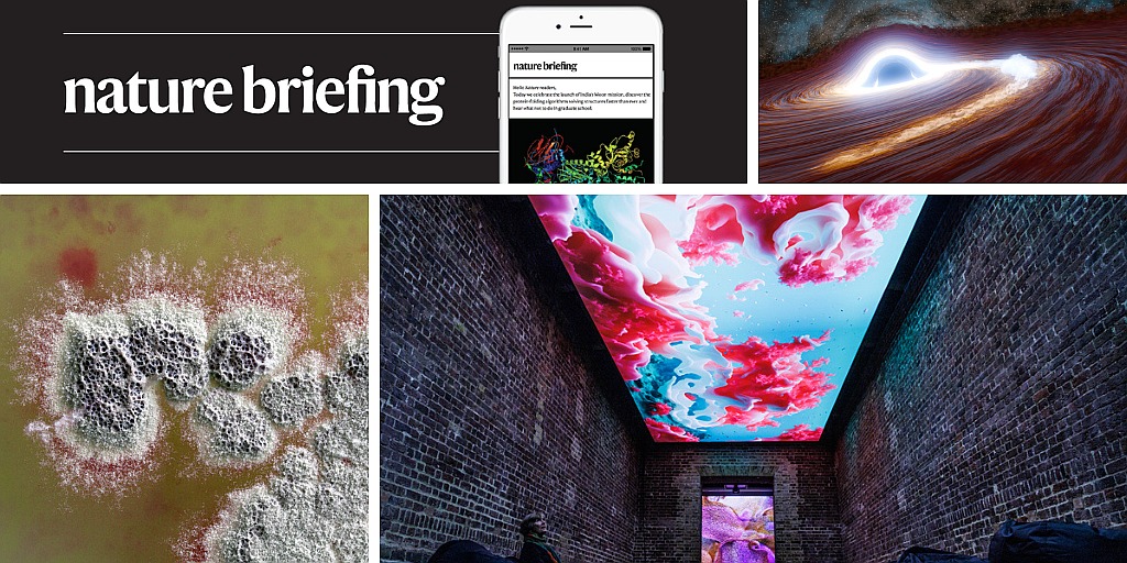 Daily briefing: UK science is ‘bleeding to death’, says report