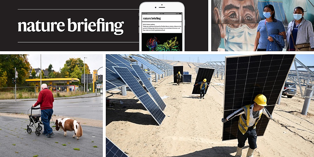 Daily briefing: A guide to global climate change action