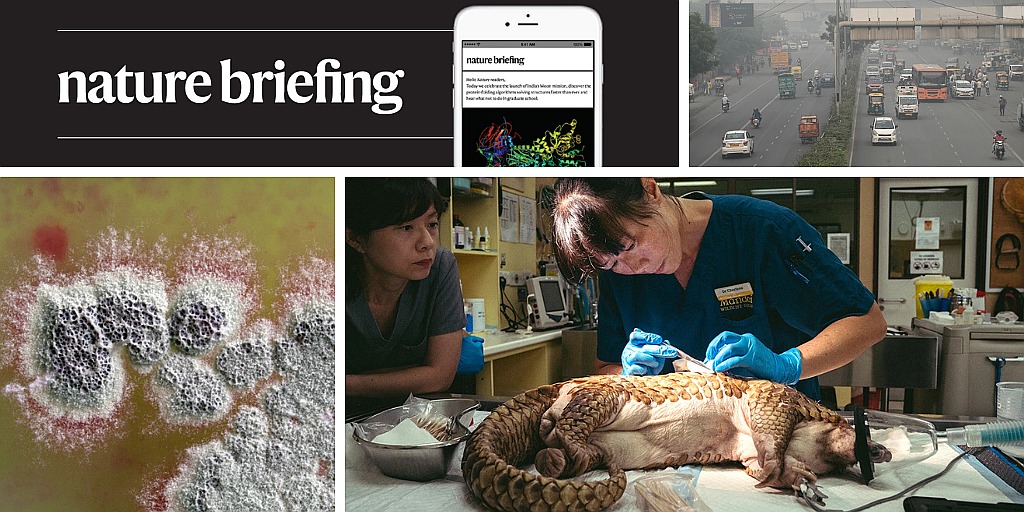 Daily briefing: Custom-made gene-editing therapy for children to enter clinical trial