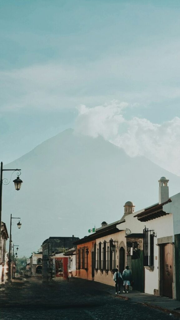 Guatemalan Black Howler Monkey