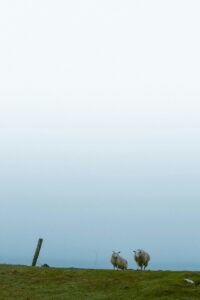 France’s finance minister on how to pass a budget