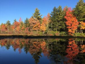 Free for all: Zohran Mamdani’s New York