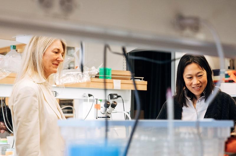 AI drives dramatic expansion of Chan Zuckerberg Initiative’s funding to end all diseases